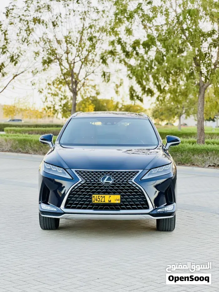 Lexus Rx 350 F Sport 2022 photo 5