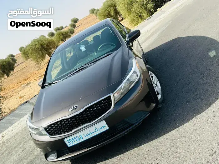Kia Forte 2017 photo 4