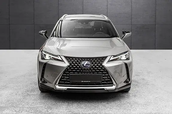 Lexus Ux300E 2021 photo 3