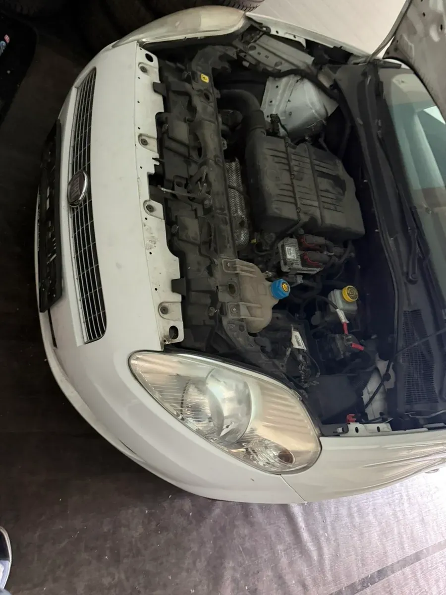 Fiat Punto 2009 photo 2