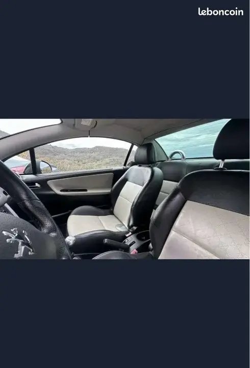 Peugeot 207 2009 photo 2