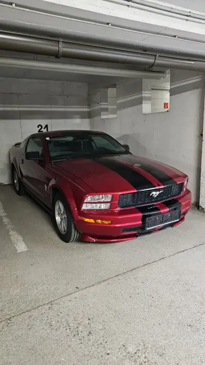 Ford Mustang 2006 photo 2