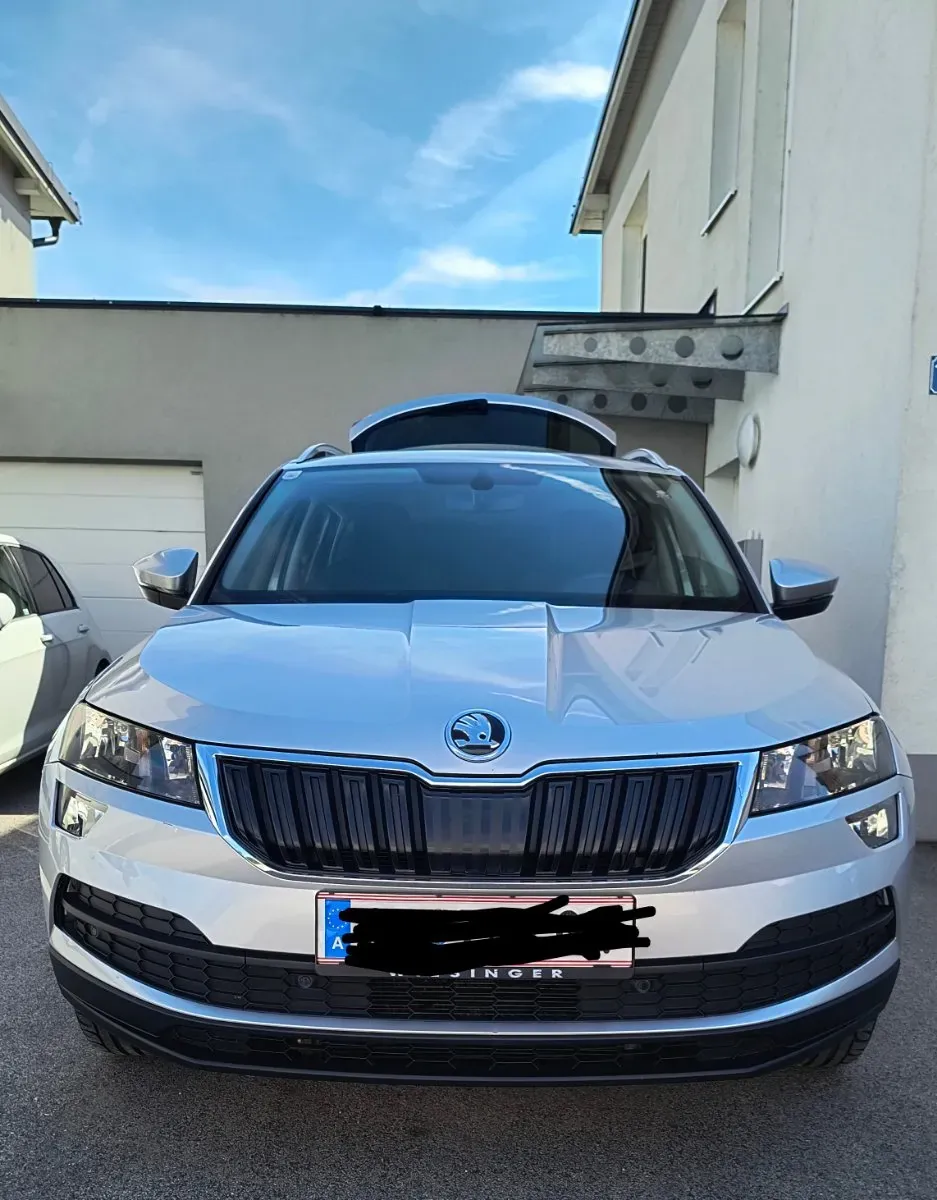 Skoda Karoq 2019 photo 2