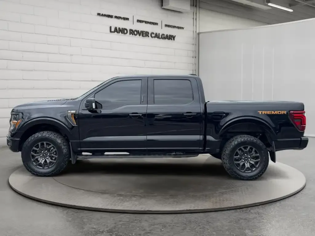 Ford F-150 2024 photo 2