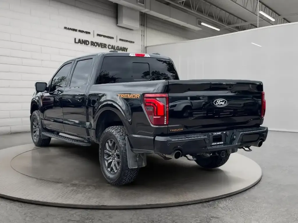 Ford F-150 2024 photo 3