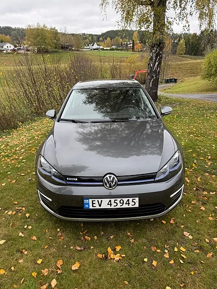 Volkswagen E-Golf Vii 2019 photo 4