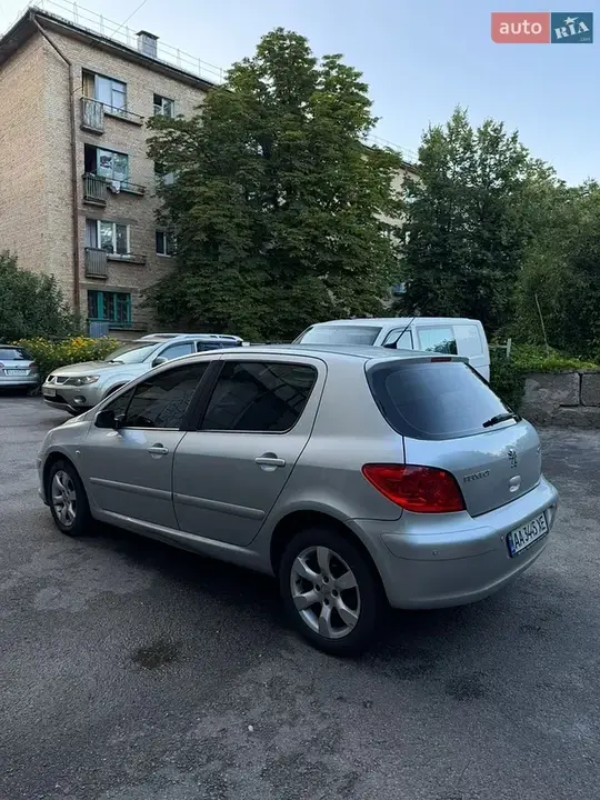 Peugeot 307 2006 photo 4