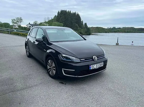 Volkswagen E-Golf Vii 2020 photo 3