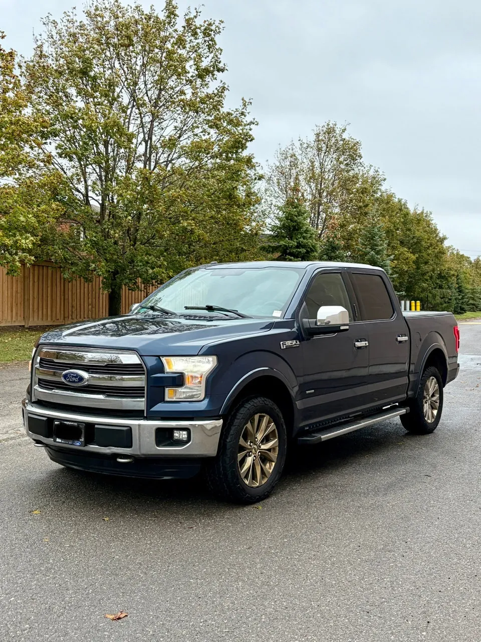 Ford F-150 2016 photo 2