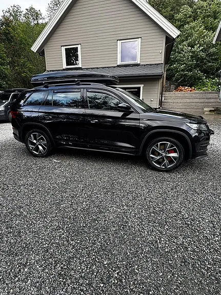 Skoda Kodiaq 2019 photo 3