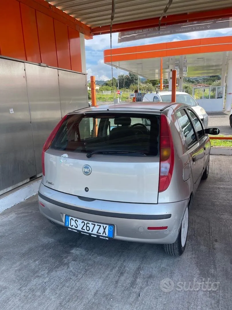 Fiat Punto