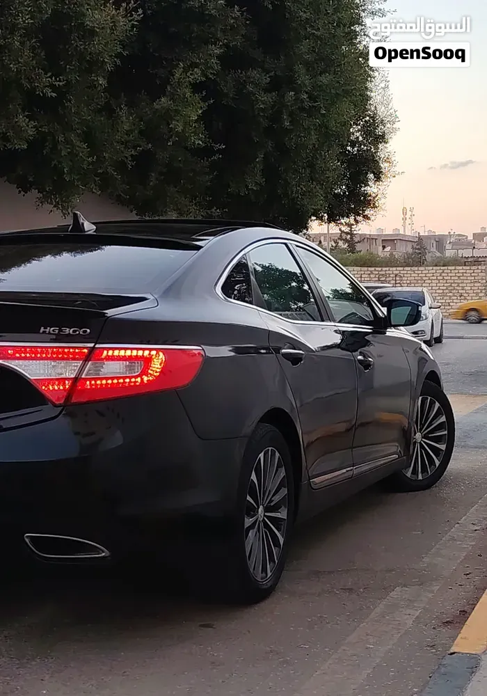 Hyundai Azera 2014 photo 4