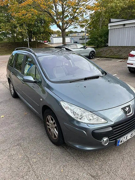 Peugeot 307 2006 photo 5