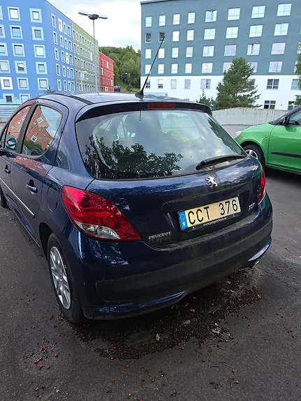 Peugeot 207 2010 photo 2
