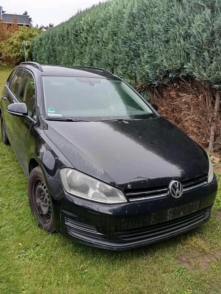 Volkswagen Golf 7