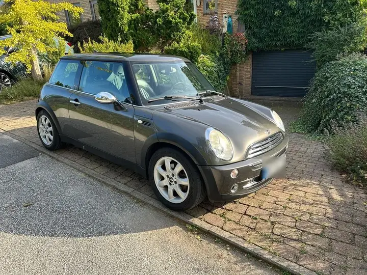 Mini Park Lane