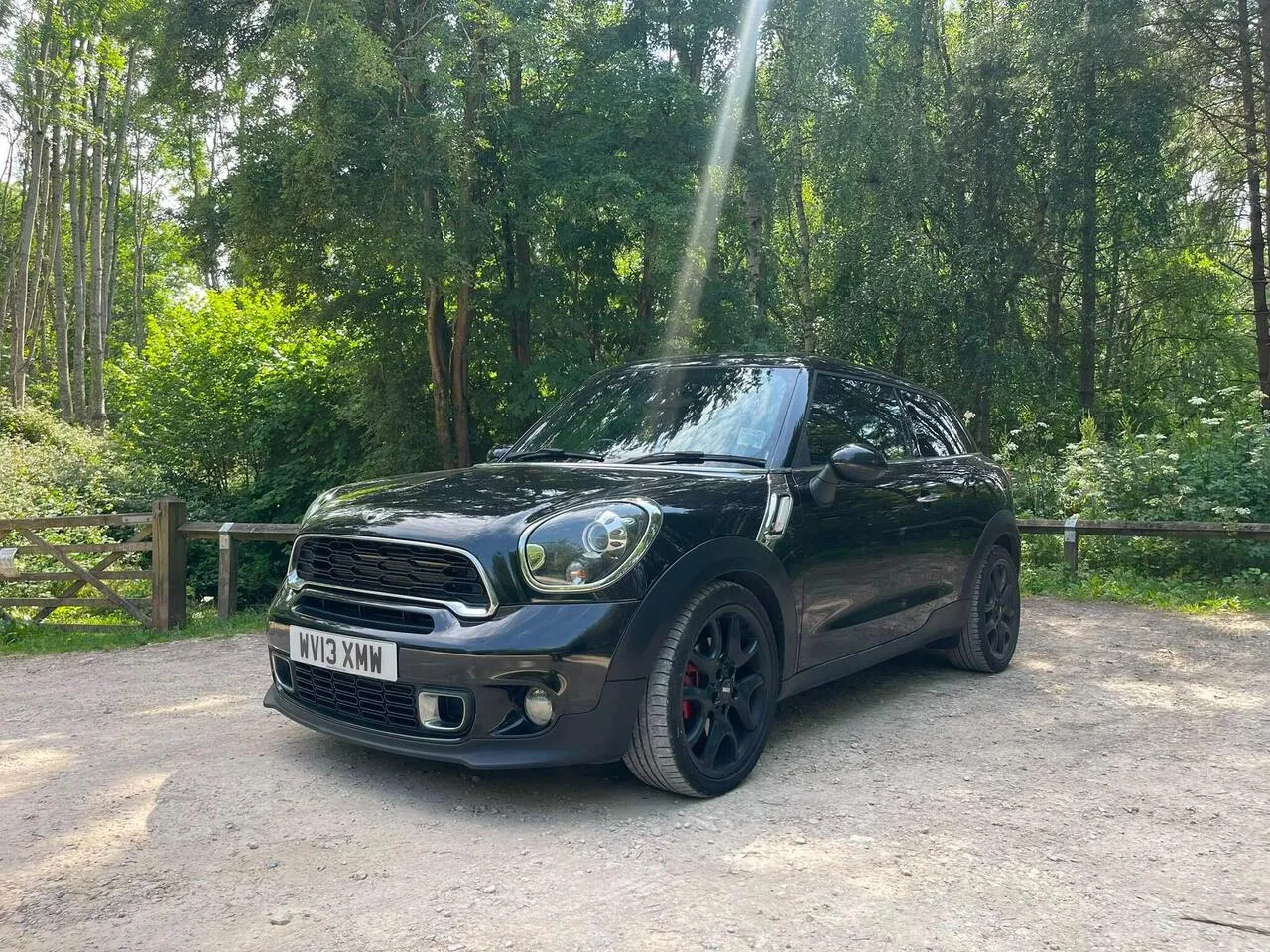 Mini Paceman