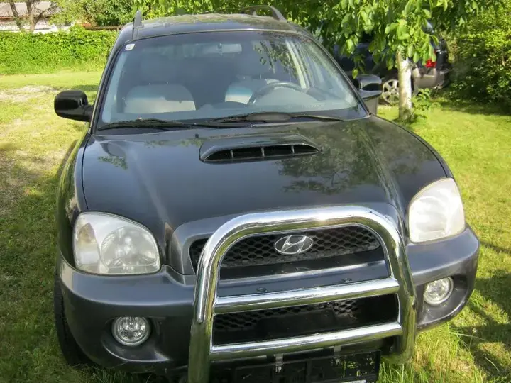 Hyundai Santa Fe 2001 photo 2