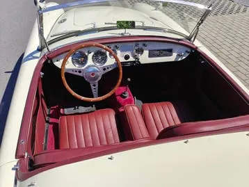 MG Mga