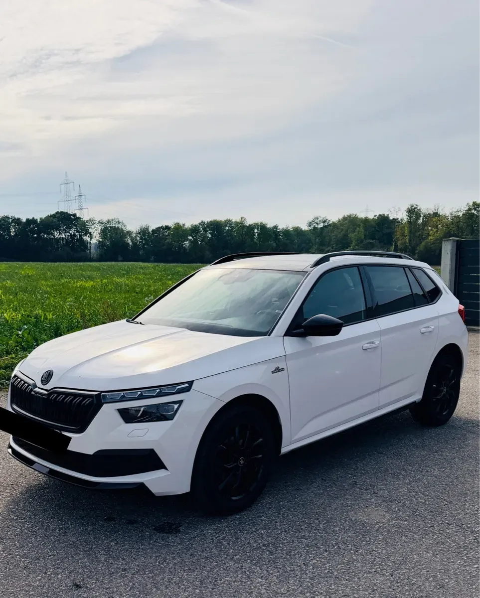 Skoda Kamiq 2020 photo 2