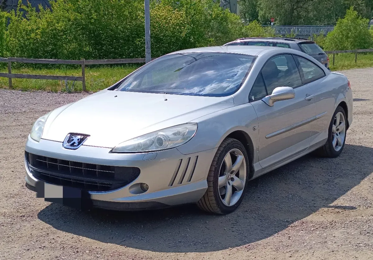 Peugeot 407 2006 photo 3