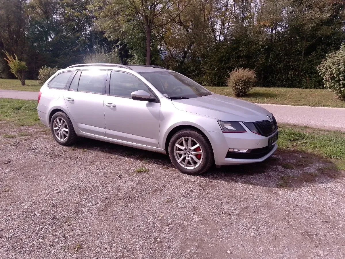 Skoda Octavia 2019 photo 2