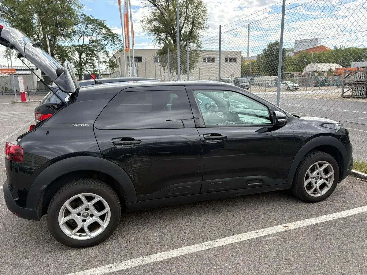 Citroen C4 Cactus 2019 photo 3