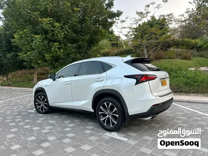 Lexus Nx 2015 photo 2