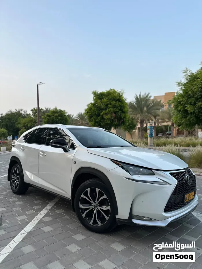 Lexus Nx 2015 photo 4