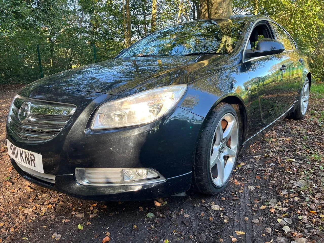 Vauxhall Insignia 2011 photo 3