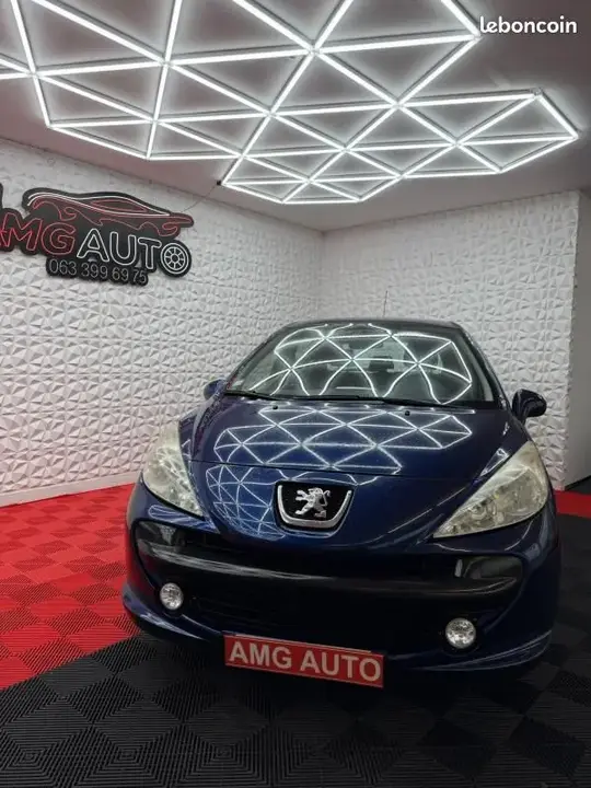 Peugeot 207 2009 photo 5