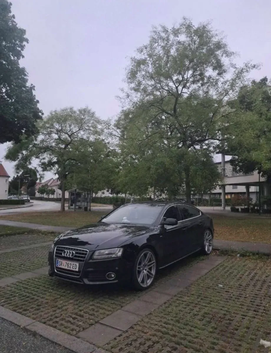 Audi A5 2009 photo 2