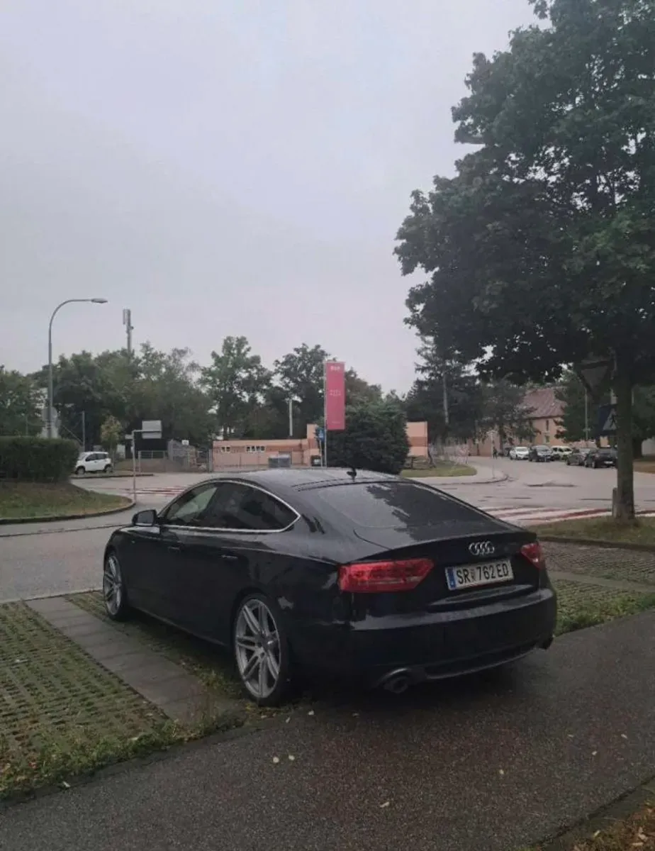 Audi A5 2009 photo 3