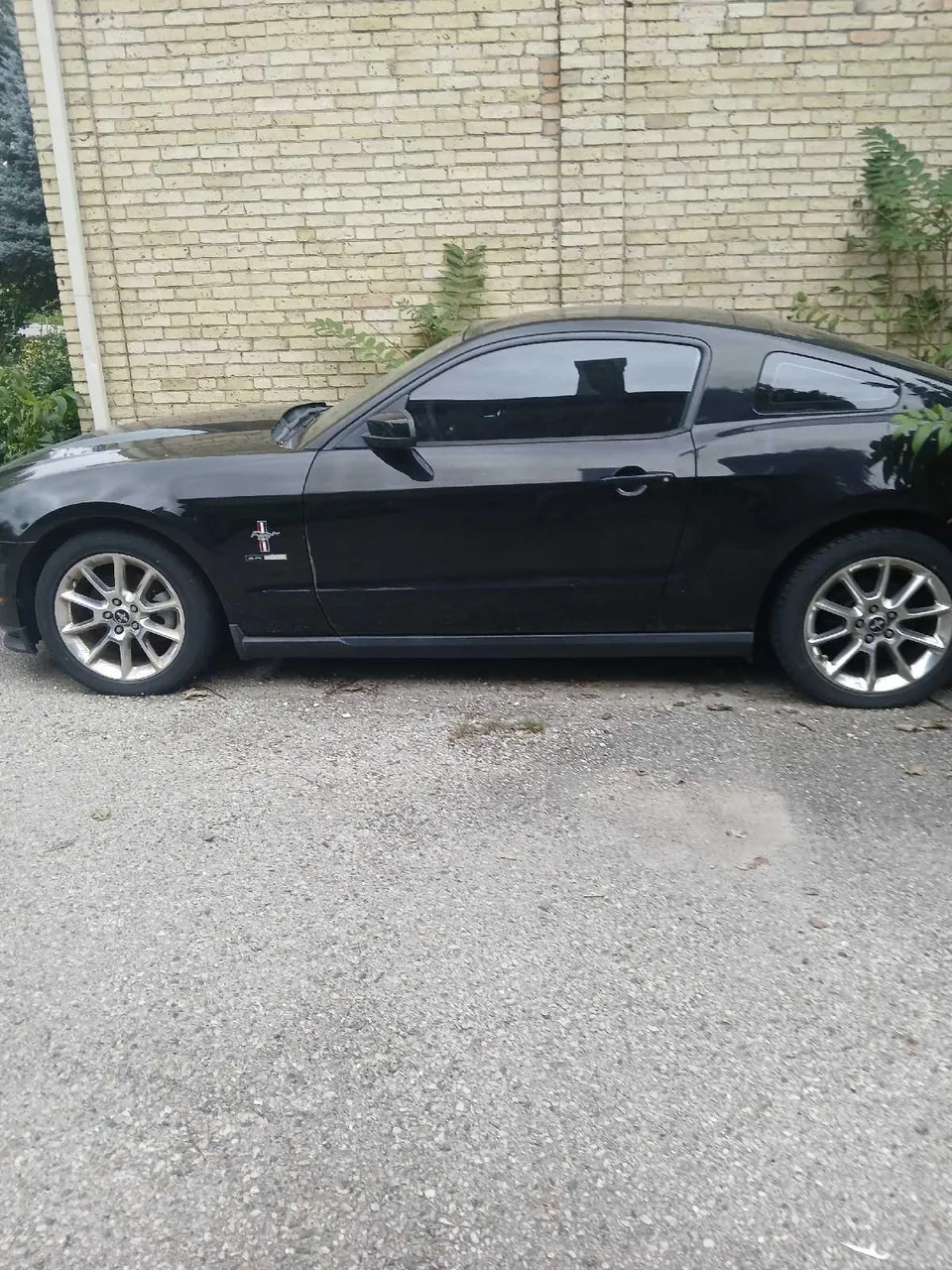 Ford Mustang 2011 photo 2