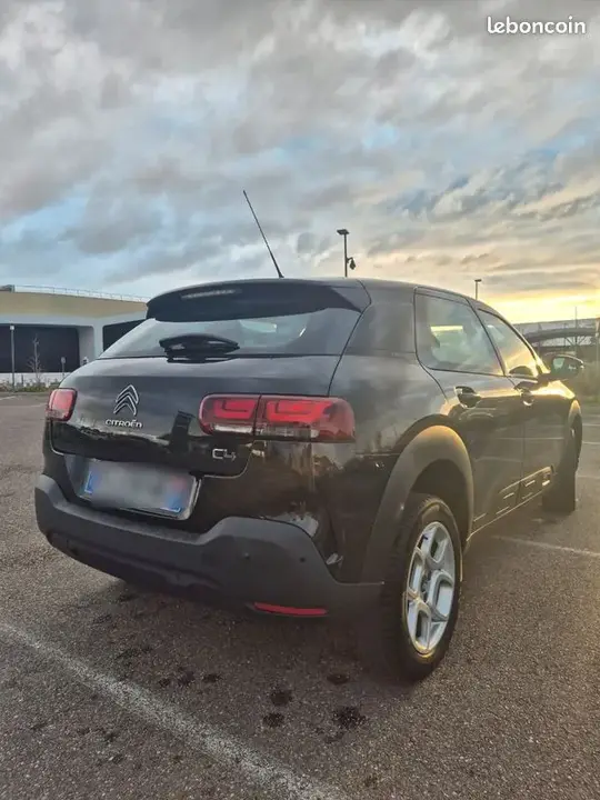 Citroen C4 Cactus 2019 photo 2