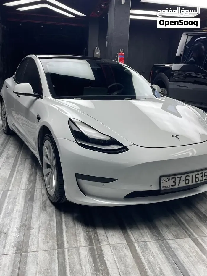 Tesla Model 3 2021 photo 3