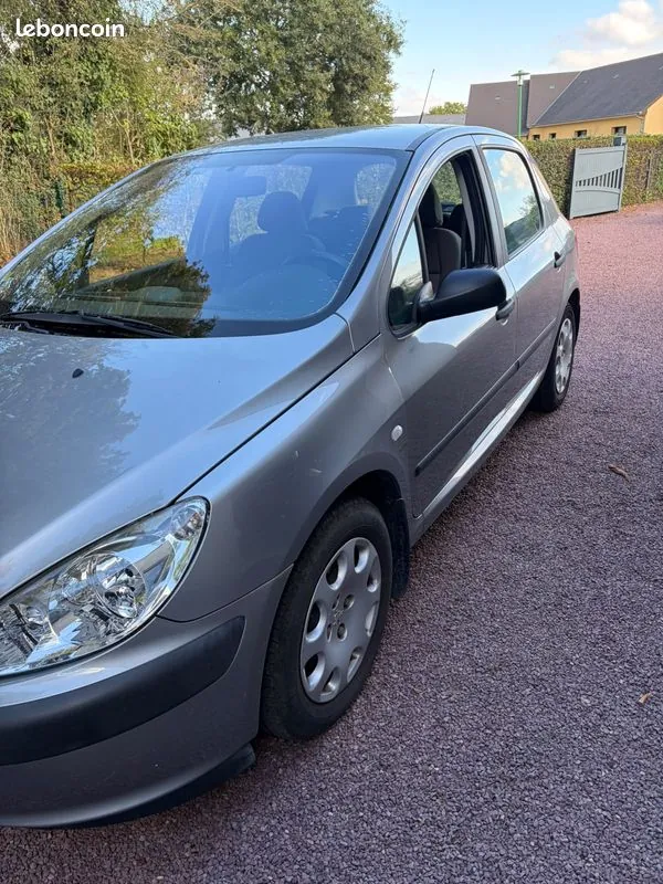 Peugeot 307 2004 photo 3
