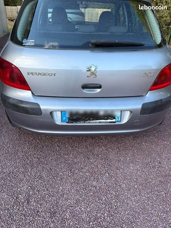 Peugeot 307 2004 photo 2
