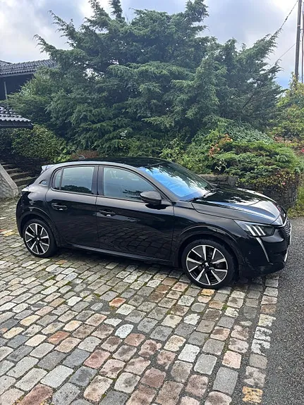 Peugeot E-208 2020 photo 3