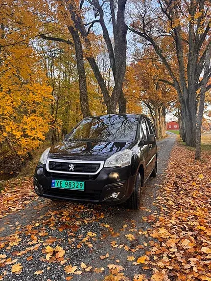 Peugeot Partner