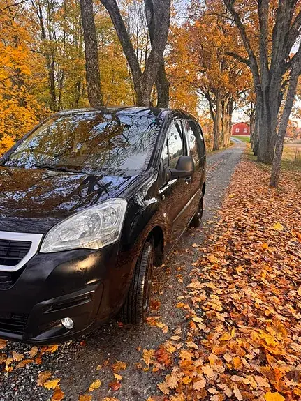 Peugeot Partner 2016 photo 2