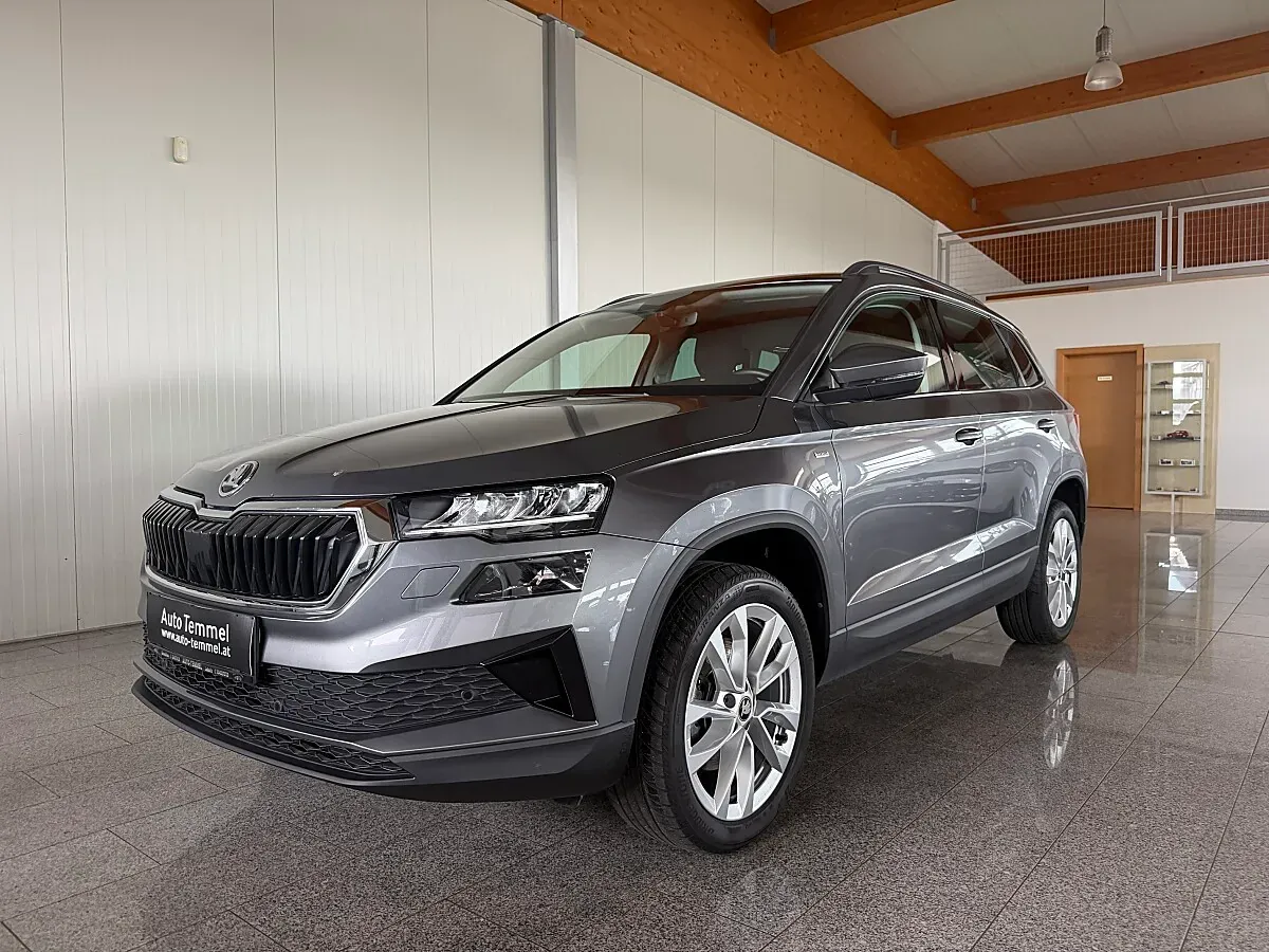 Skoda Karoq 2023 photo 2
