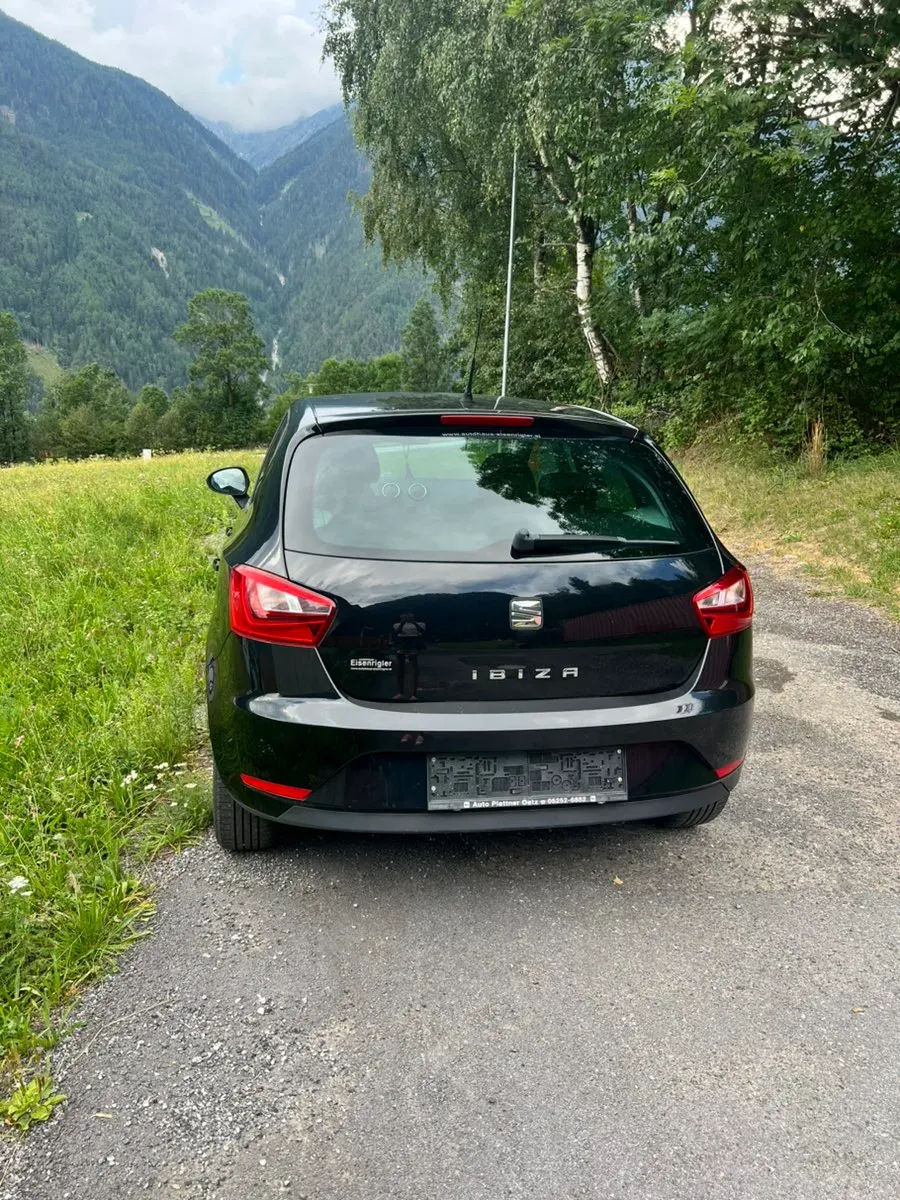 Seat Ibiza 2015 photo 2