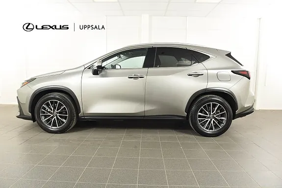 Lexus Nx450H+ 2024 photo 2