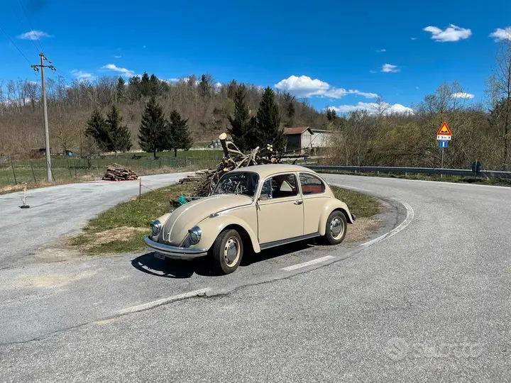 Volkswagen Maggiolino