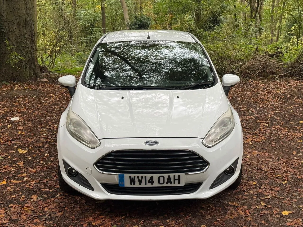 Ford Fiesta 2014 photo 3
