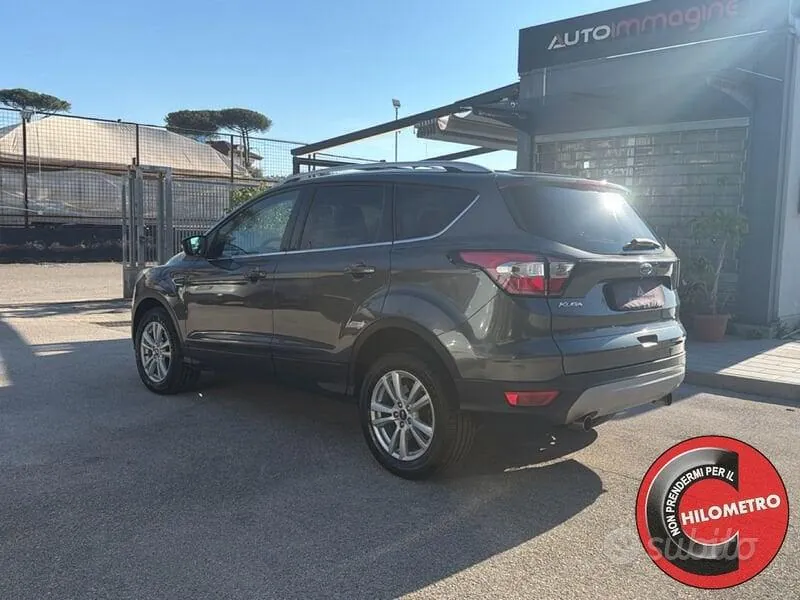 Ford Kuga 2019 photo 4
