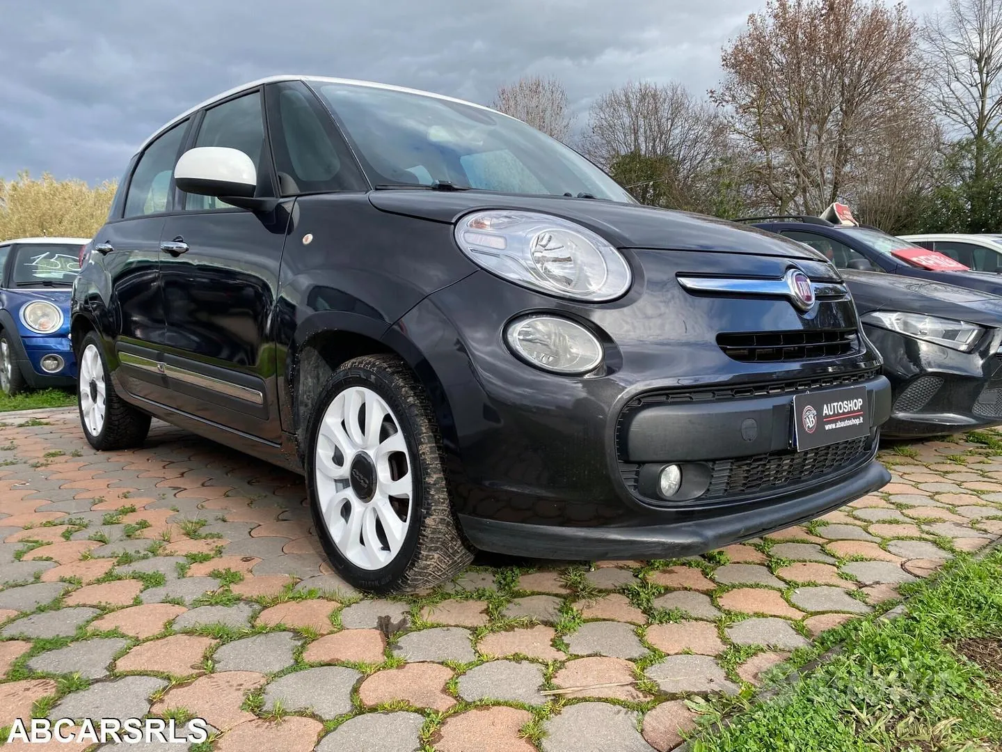 Fiat 500L 2013 photo 3