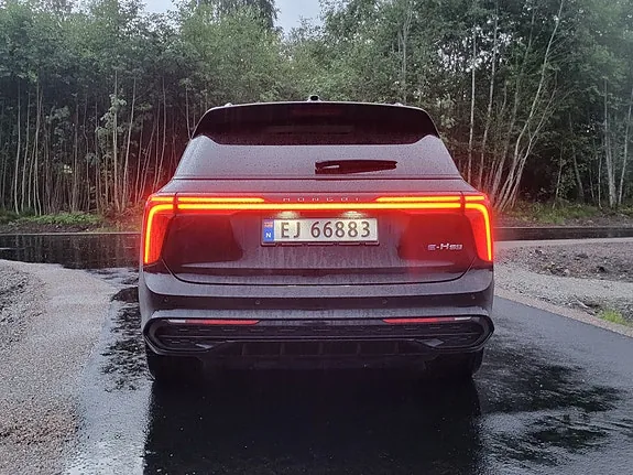 Hongqi E-Hs9 2024 photo 4
