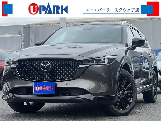 Mitsubishi Cx-8